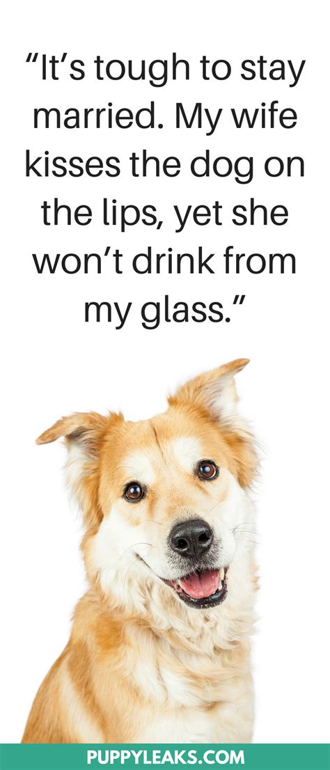 30 Cute And Funny Dog Quotes Dog Quotes Funny Dog Quotes