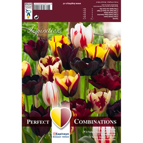 Assortiment Tulipes Mystic Blend X15