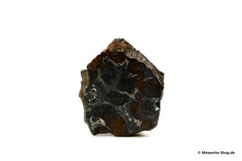 Sericho Meteorit 1650 G Kaufen Decker Meteorite Shop