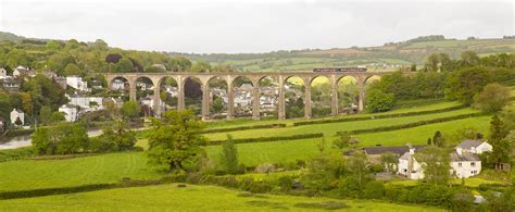 All Aboard The Tamar Valley Line Visit The Tamar Valley