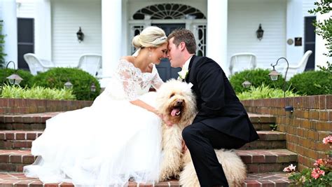 Include Your Dog In Your Wedding With These Paws Itively Cute Ideas