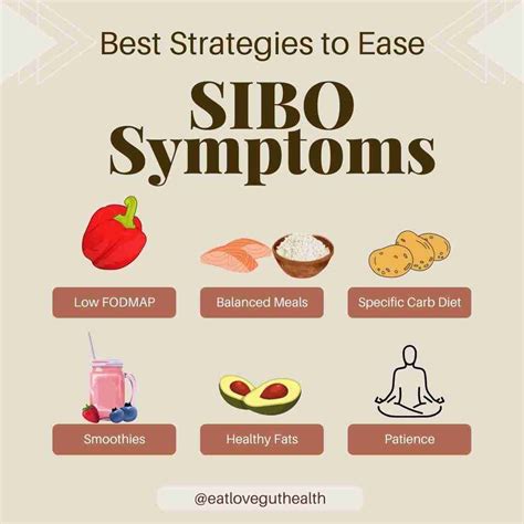 Sibo Recipe And Diet Guide Eat Love Gut Health