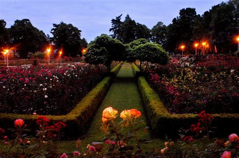 Of all of portland's public gardens, the rose test gardens are certainly the most grand, though the international rose test gardens. Peninsula Park in NE | Rose garden portland, Portland ...