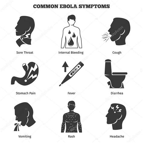 Types or classification of ebola virus. Ebola virus symptome vektorsymbole gesetzt - Vektorgrafik ...