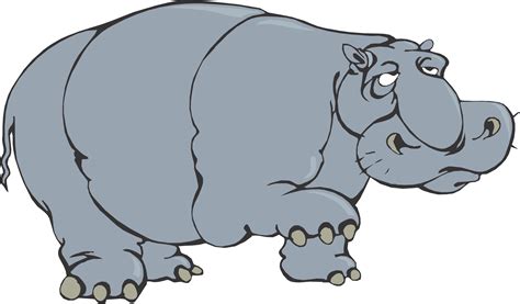 Cartoon Hippo Clipart Kid