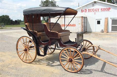 Horse Drawn Surrey Carriage Buggy Wagon Cart Sleigh Antique Dream