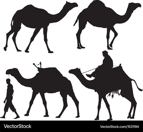 Camel Silhouette Royalty Free Vector Image Vectorstock