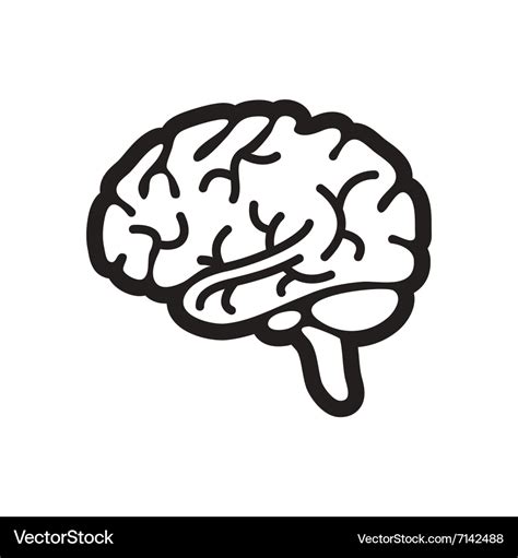Stylish Black And White Icon Human Brain Vector Image