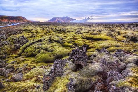 Where The Green Moss Grows Lava Field Grindavik Icela Flickr