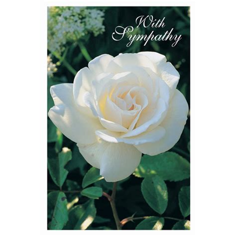 Sympathy Card White Floral
