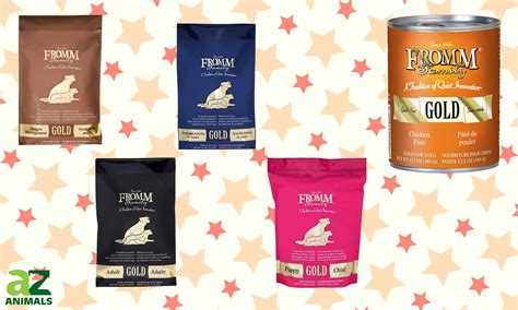 The Best Fromm Dog Food For 2022 A Z Animals