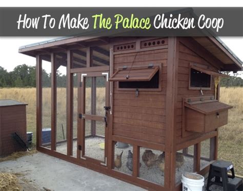 Imagine how you would feel shut in a small wooden box with your family. How To Make The Palace Backyard Chicken Coop - Homestead ...