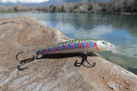 The 5 Best Lures For Fall Trout Fishing Tilt Fishing