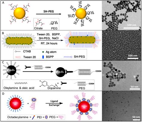 Materials Free Full Text Surface Modifications Of Nanoparticles For