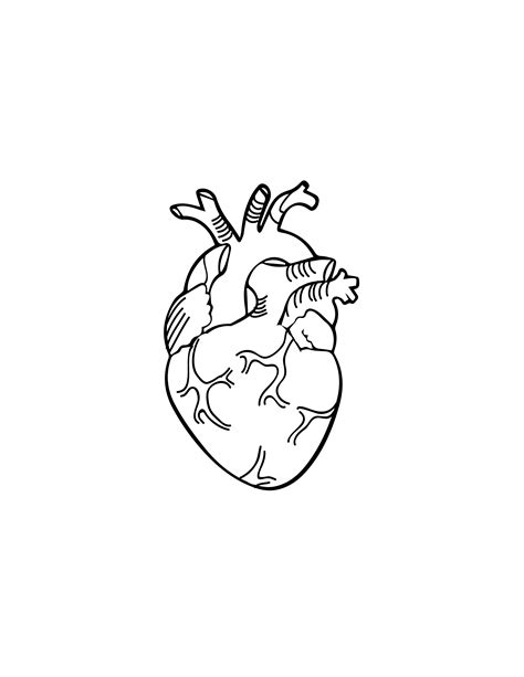 Free Red Heart Line Drawing Illustrator Pdf