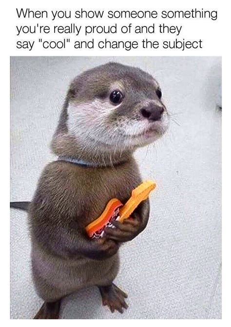Otter With Guitar Meme In Otter News