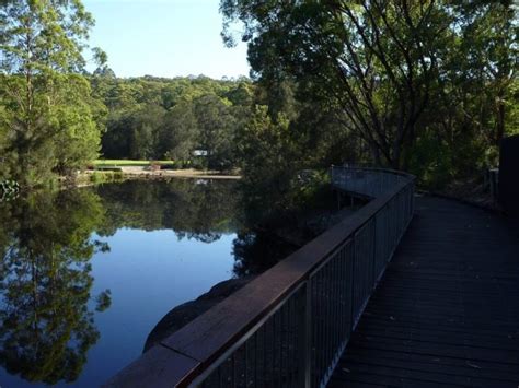 Lane Cove Tourist Park River Circuit 12km Lane Cove National Park Nsw