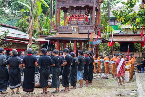 Traditional Funeral In Tana Toraja Editorial Stock Photo Image Of