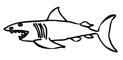 Awesome Great White Shark Coloring Page Free Printable Coloring Pages