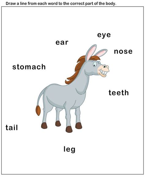 Look at the picture and study the words. 149 best Body Crafts Pre images on Pinterest