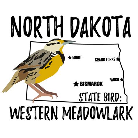 North Dakota State Bird Bird Watching Academy