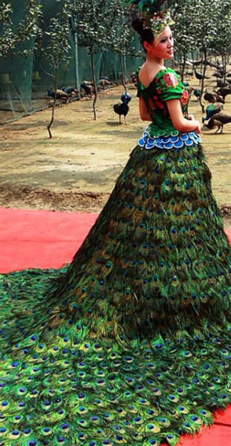 Peacock Gown Peacock Dress Beautiful Dresses Fashion