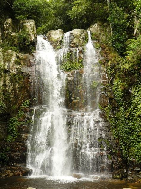 Minnamurra Falls In Budderoo National Park National Parks Wollongong