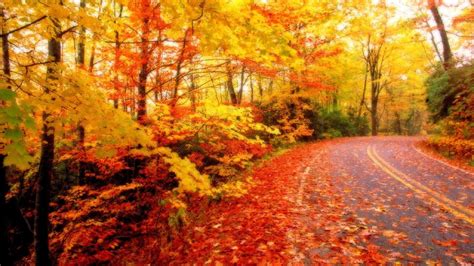Autumn Season Wallpapers Top Free Autumn Season Backgrounds