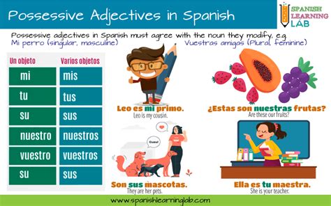 Using Spanish Possessive Adjectives In Sentences Spanish Learning Lab