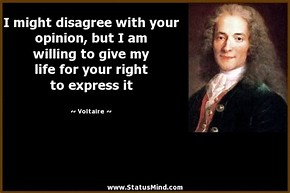 Image result for Voltaire Quotes