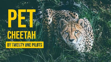 Pet Cheetah Twenty One Pilots Audio Visualizar Youtube