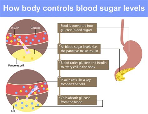 Blood Sugar Issues But Not Diabetic DiabetesWalls