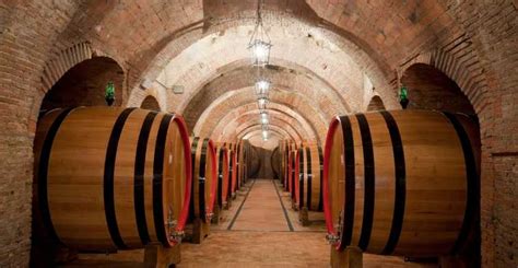 Montepulciano Wine Tasting And Lunch In A Typical Winery Getyourguide