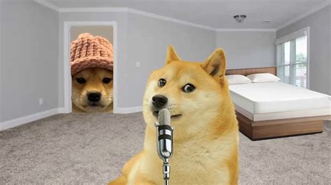 Doggo Meme Template Apsgeyser