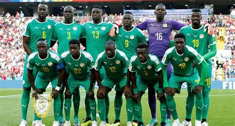 Teams national teams europe africa asia oceania south america north america matches cups & friendlies african nations cup asian cup copa america european championship gold cup oceania cup world cup other tournaments. AFCON 2019: Profile of Senegal national team