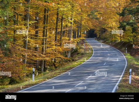 Bavarian Forest Bavaria Autumn Hi Res Stock Photography And Images Alamy