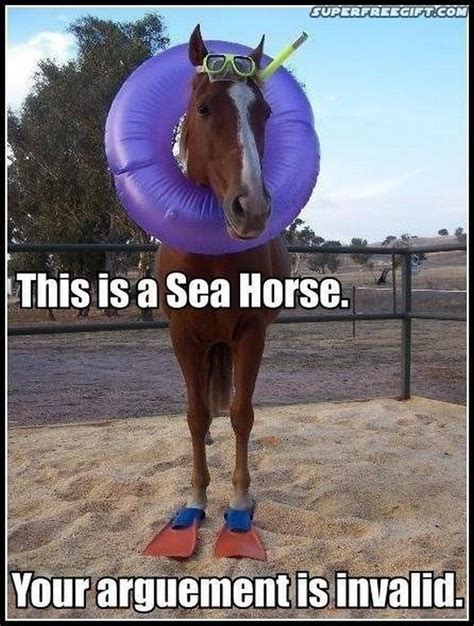 Funny Horse Memes Fit For Fun