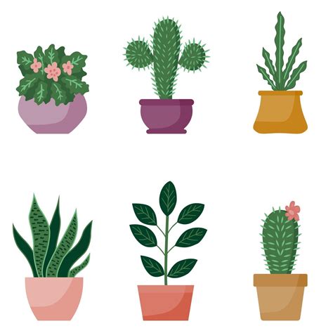 Potted Plants Collection Cartoon Design Succulents And Home Plants