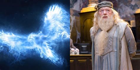 Harry Potter What Is Dumbledores Patronus