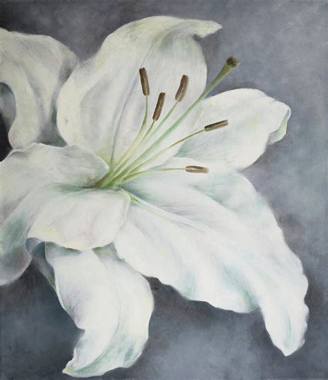 Oil Paintings White Lily Flower On A Silver Background Large Petals Of