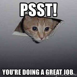I'm an average to above average looking guy. PSST! You're doing a great job. - Ceiling cat | Meme Generator