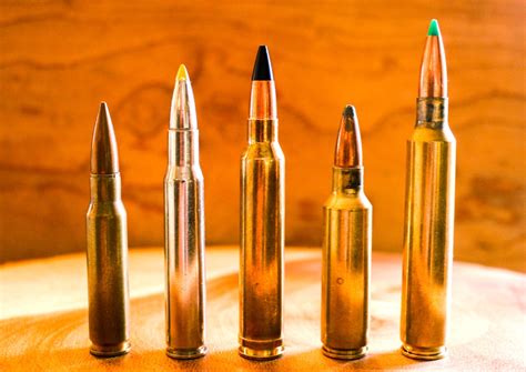 Best 300 Winchester Magnum Ammo For Deer Hunting Ruger 1022