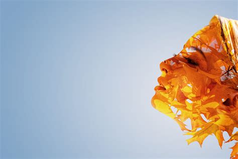 Creative Exploration - What is it all about? - Formula2gx