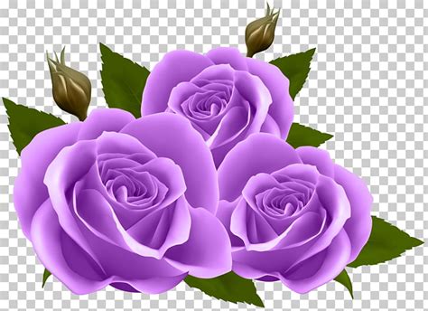 A Purple Rose Clipart 10 Free Cliparts Download Images On Clipground 2021