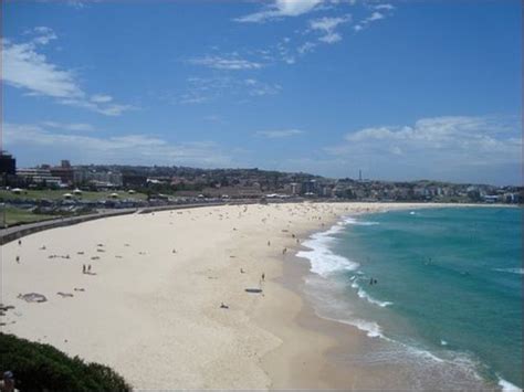 Bondi Beach Sydney 2021 Ce Quil Faut Savoir Pour Votre Visite