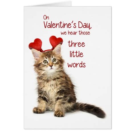 Funny Kitten Valentine Card Zazzle