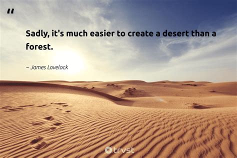 54 Desert Quotes About Life And The Beauty Of Barren Landscapes
