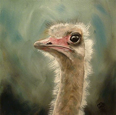 Ostrich Painting By Elizabeth Hoddevik