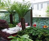 Photos of Images Of Small Backyard Landscaping