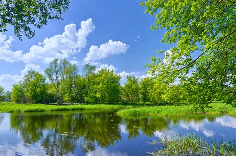 Nature Landscapes Earth Lakes Trees Forest Sky Clouds Beauty Spring